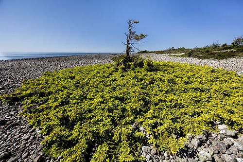 Im Nationalpark Jomfruland