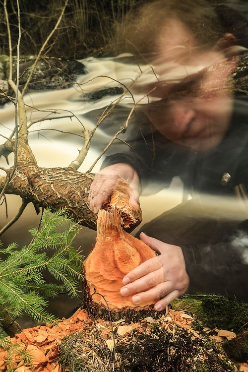Naturen, Inspirasjon & Fototeknikk