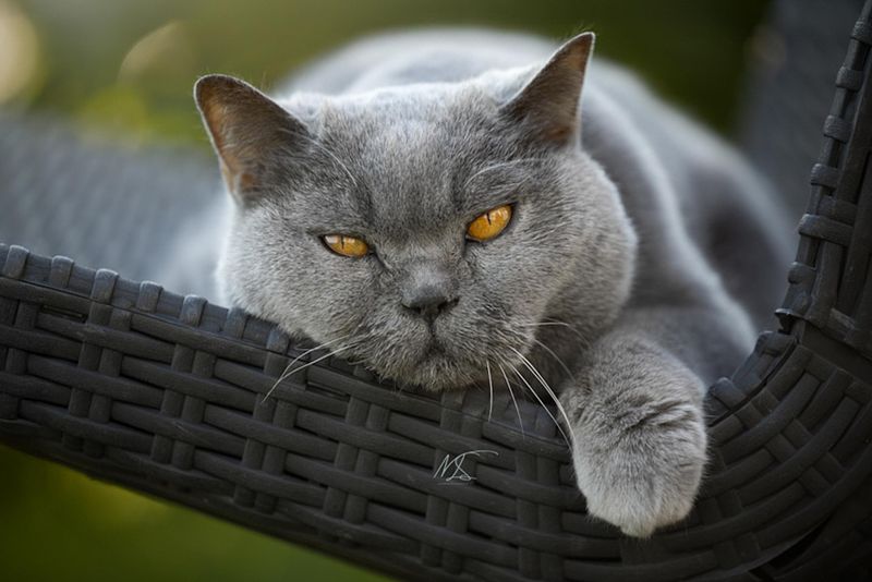 Do&rsquo;s & don&rsquo;ts voor je foto&rsquo;s na de shoot