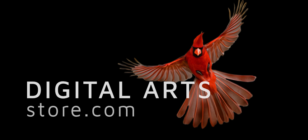 Digital Arts Store