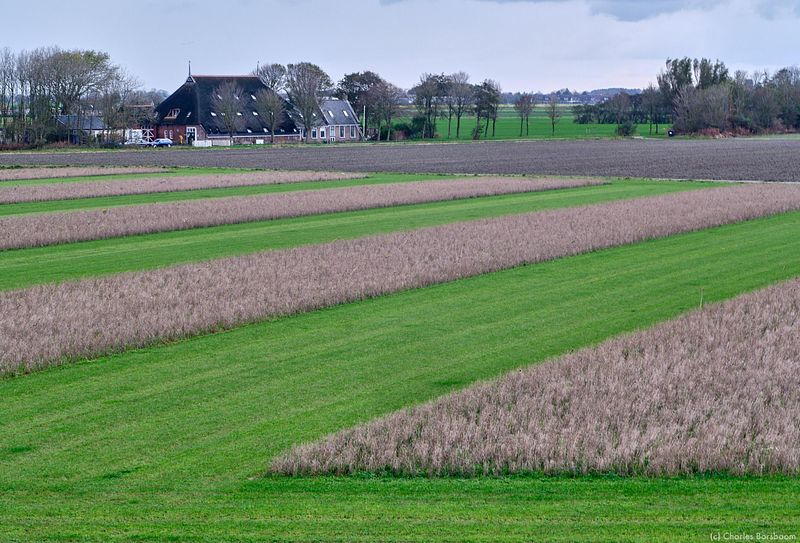 The Next Step (20 - 22 november 2026)