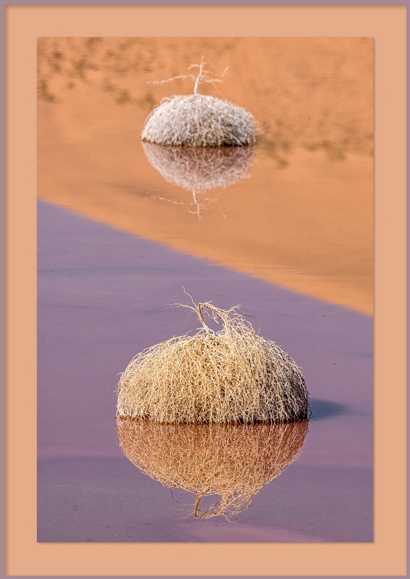 Spiegelwerelden in Badain Jaran