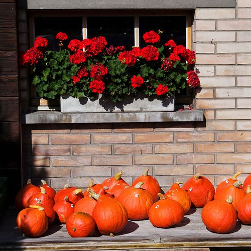 Kapelle Wilder Geschinen