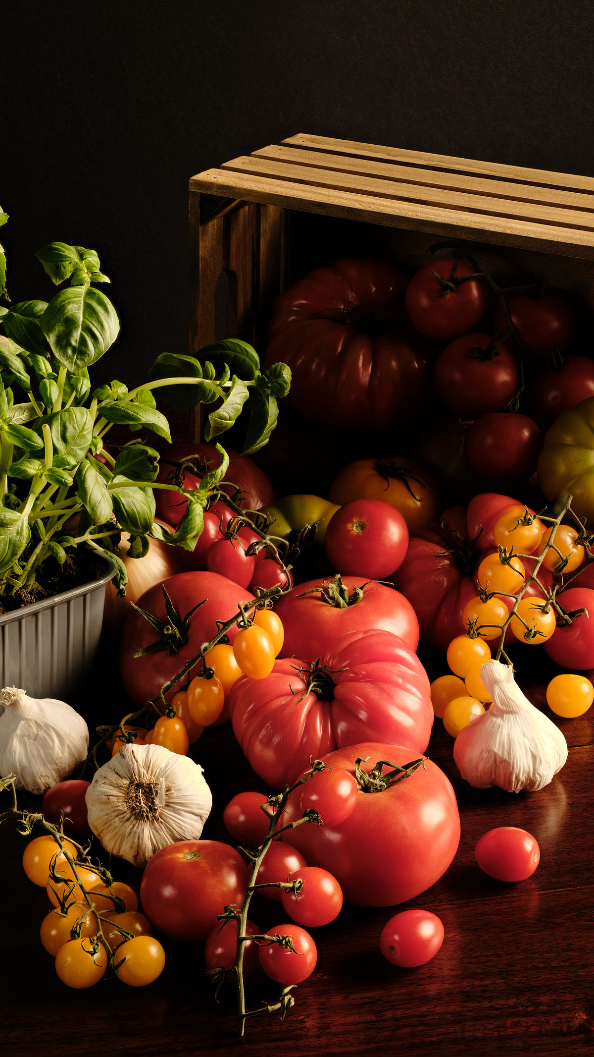 An assortment of tomatoes garlic, onion and fresh basil spilling out of a wooden crate.
