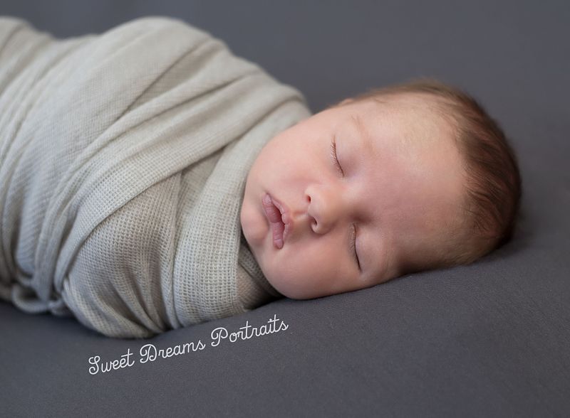 A Legacy in Newborn Portraits