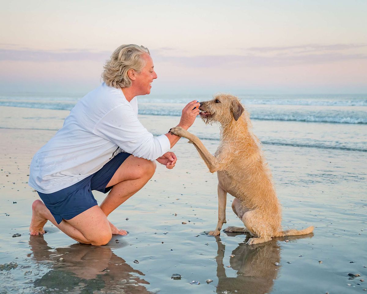 san diego dog beach photography
