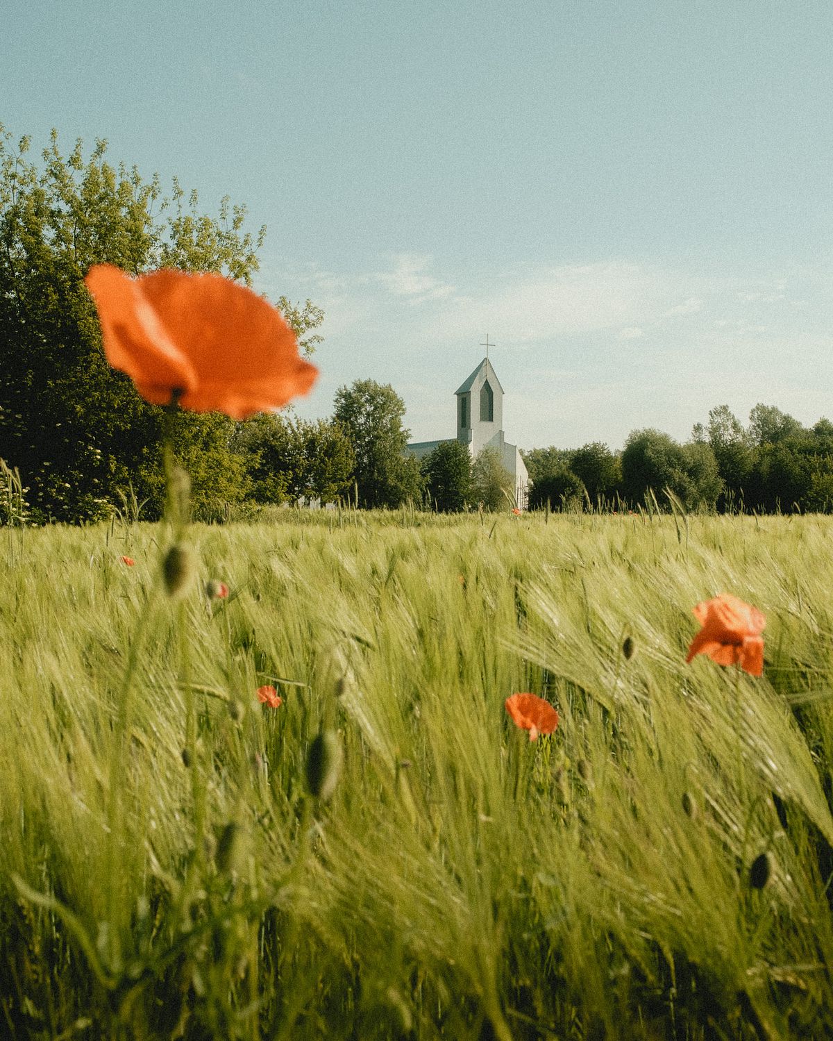 Kościół na Białołece