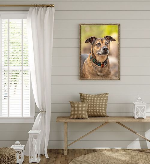 Investment Possibilities