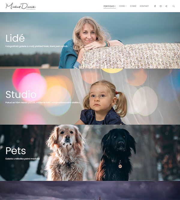 Michal Danis Portfolio Website Examples