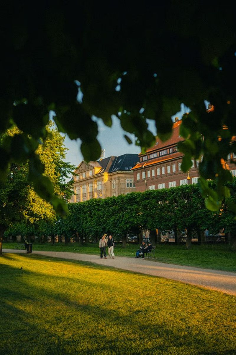 Grain presets for Lightroom Classic