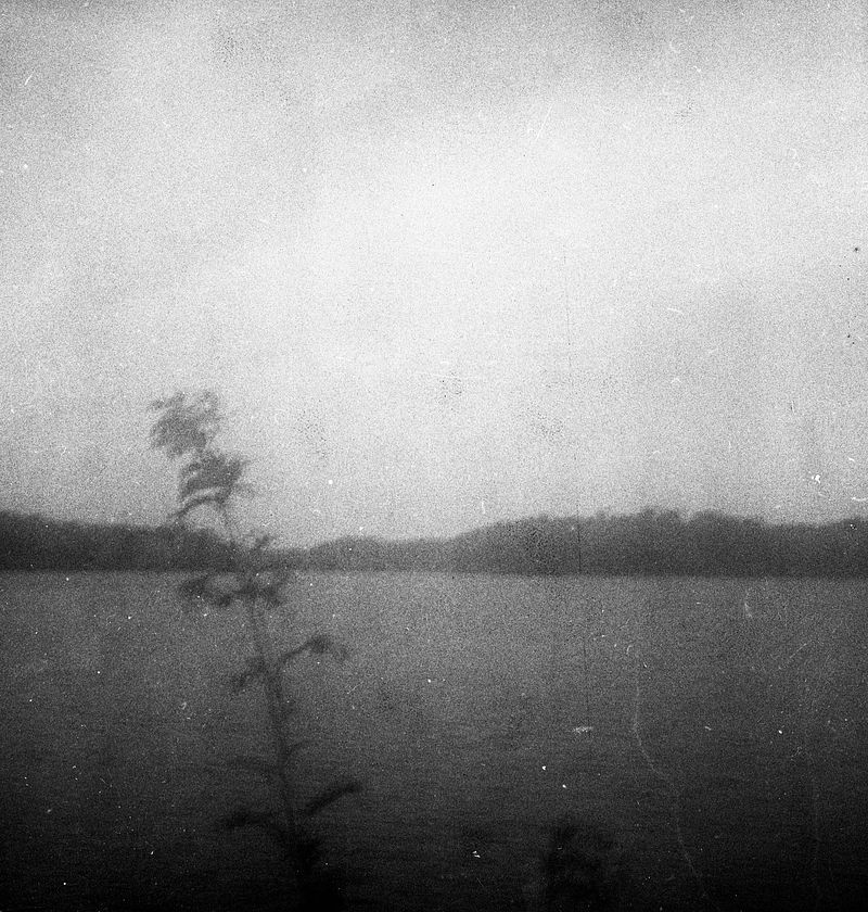 B&W Film Photography