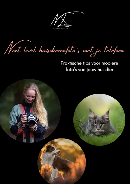 E-book: Next level huisdierenfoto&rsquo;s met je telefoon