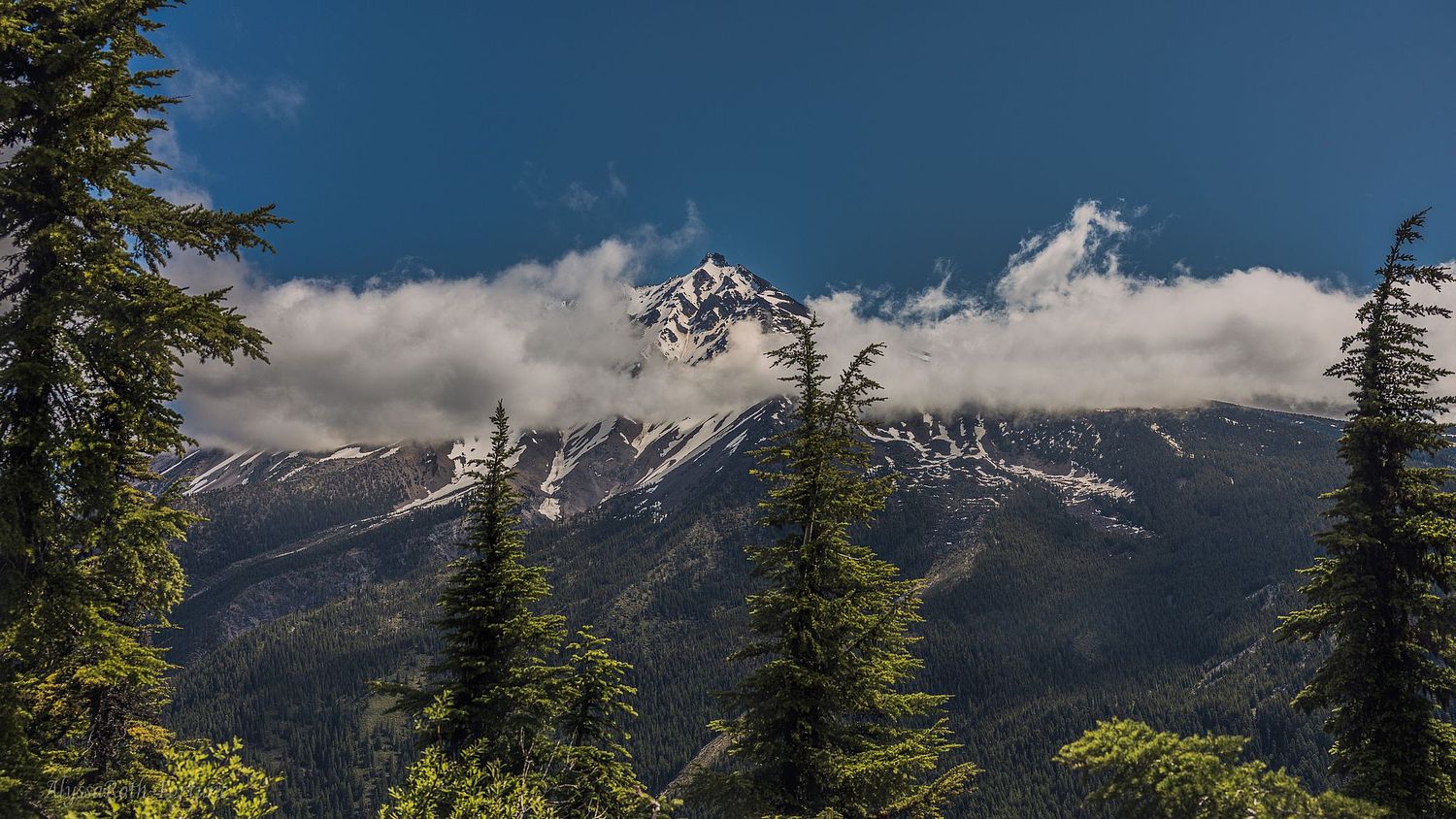 Mount Jefferson rises for the day among clouds.