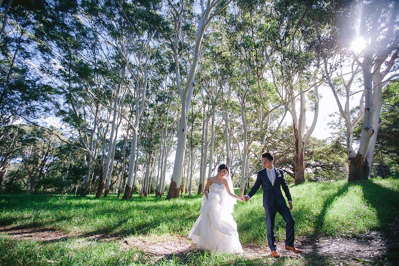 Centennial Park: A Natural Oasis for Your Wedding Day