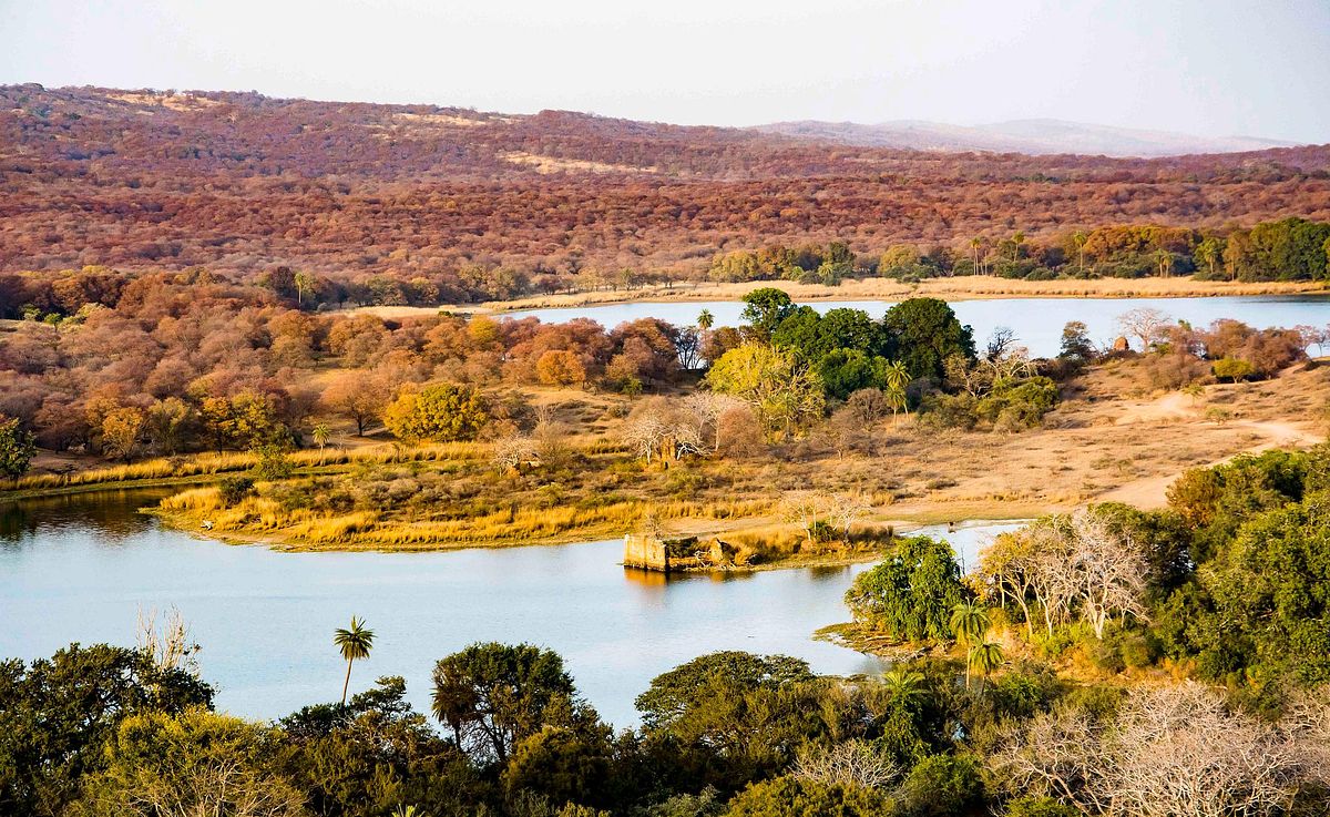 Forest, lake, Ranthambore, national park, animal park,
