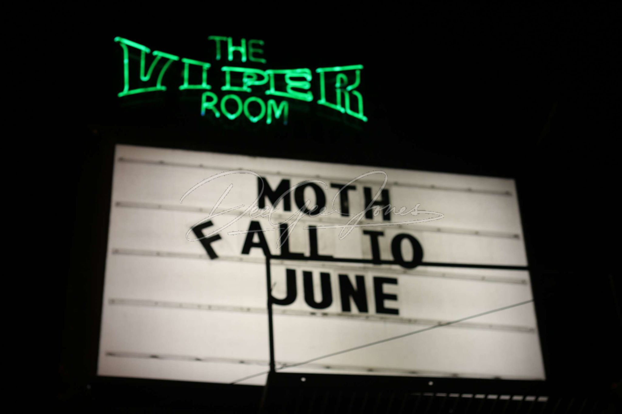 Moth
