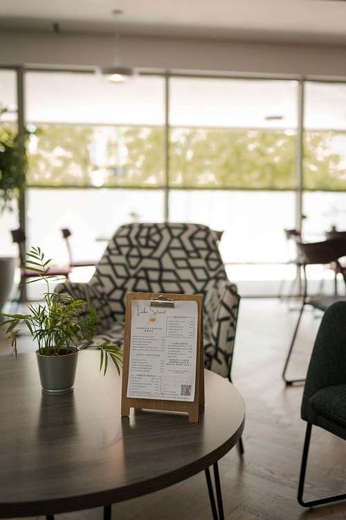 Light-filled café interior with wooden furniture, plants, and a relaxed, welcoming atmosphere