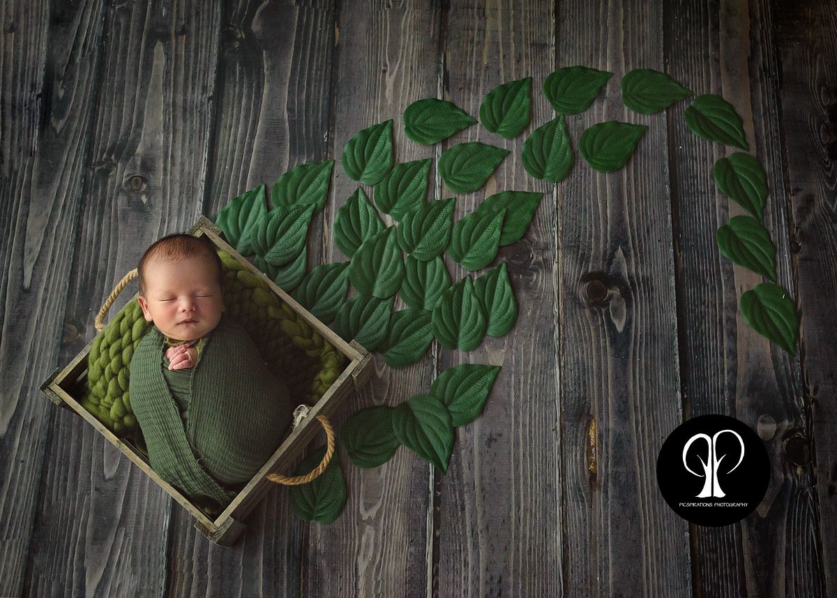 Newborn Photography - Picspirations Photography (39)