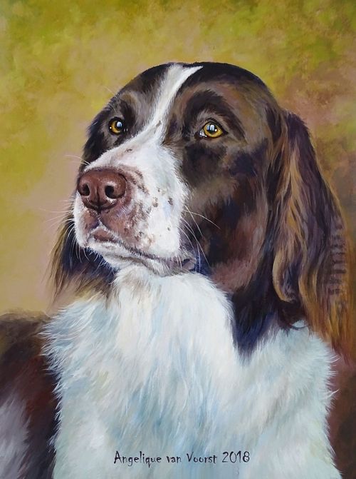 Where eyes tell stories