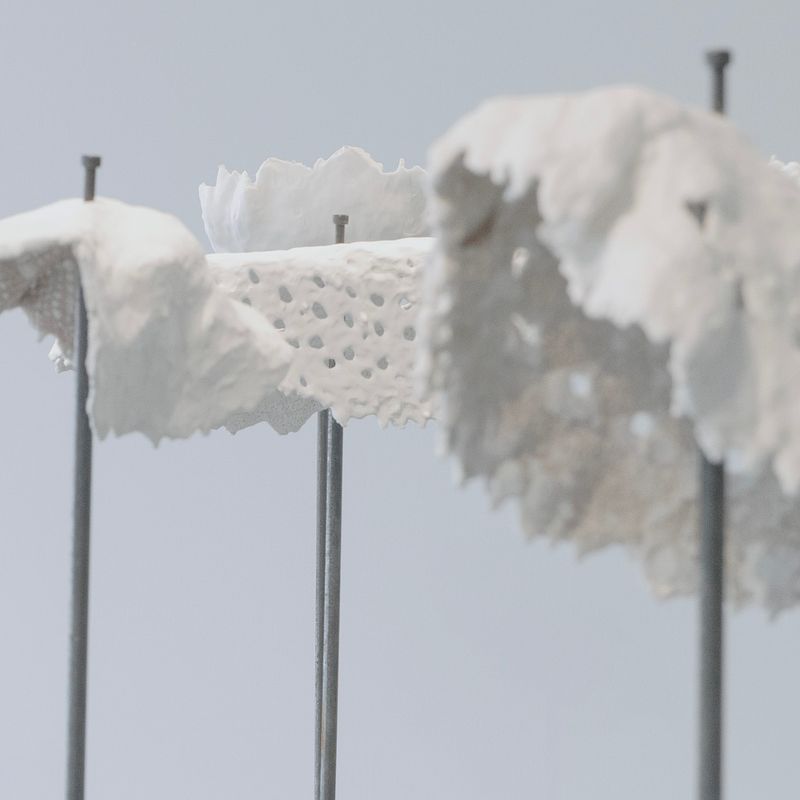 Empreintes, repères perdus et espèces envahissantes