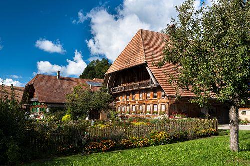Im Ried bei Zollbrück