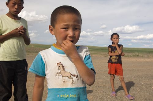 Harnaschpolder vanaf Vermeertoren
