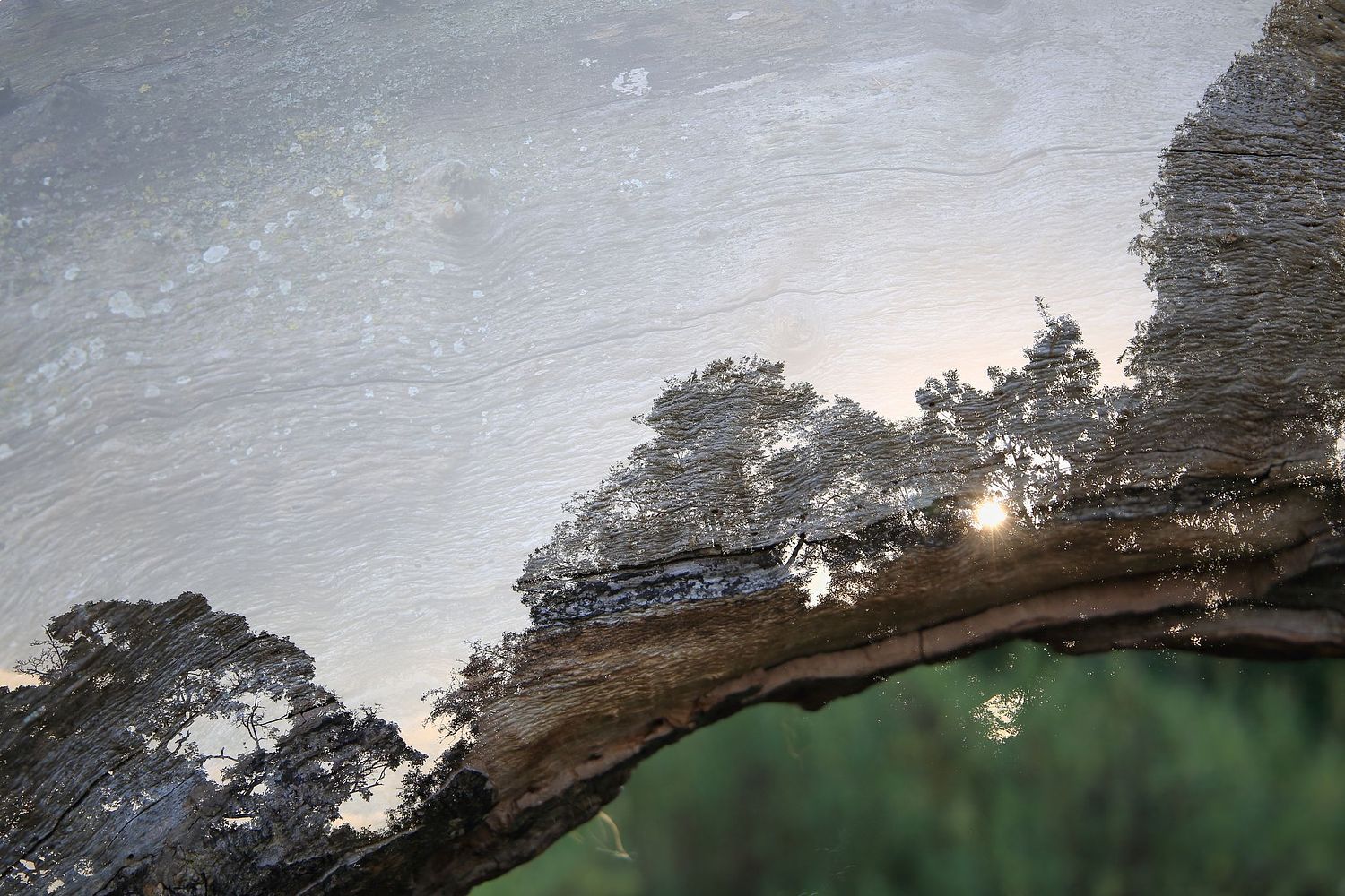 David Foster Art Artist Photography Photographer Reading