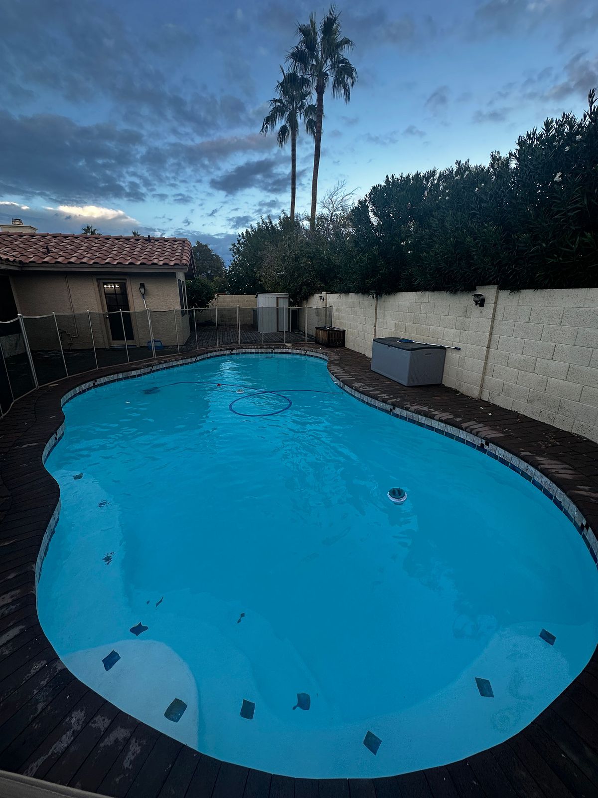 Clean pool in the sunset