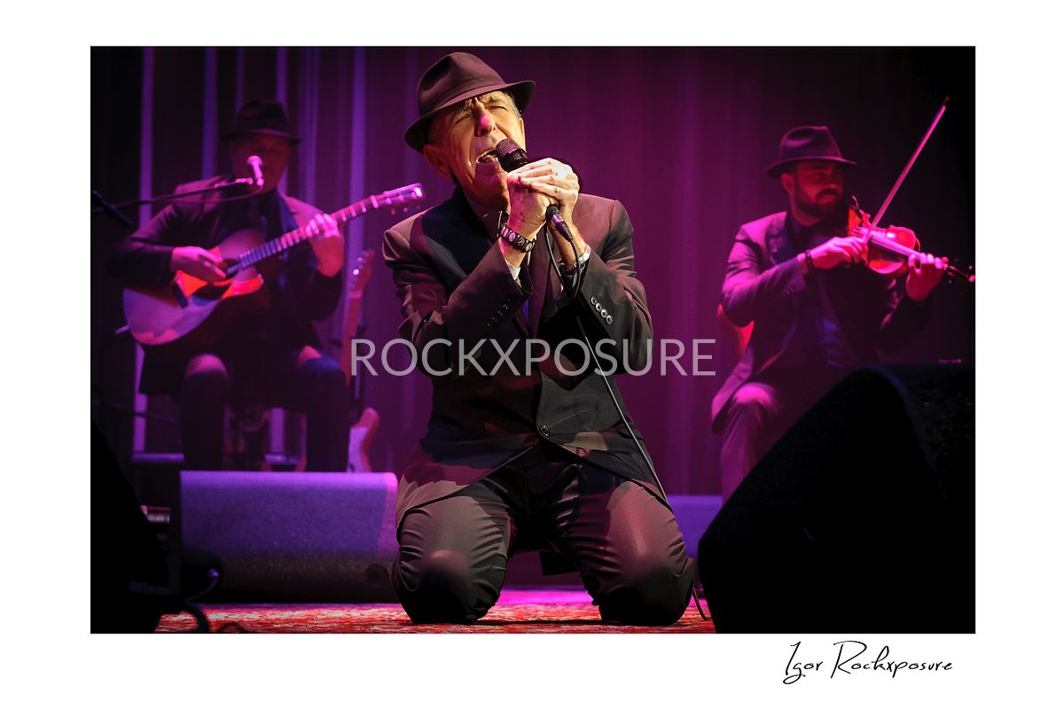 Horizontal concert photography of Leonard Cohen kneeling while singing into a microphone under purple stage lighting