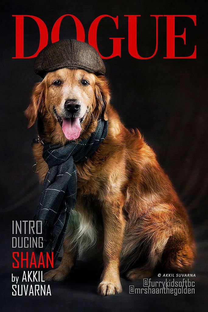 Dog Photography by Akkil Suvarna