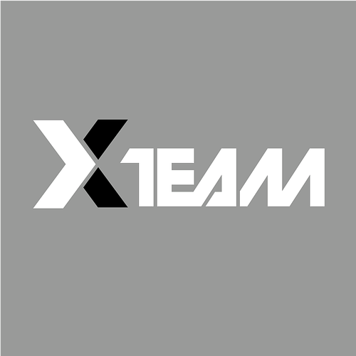 A propos de The X-TEAM