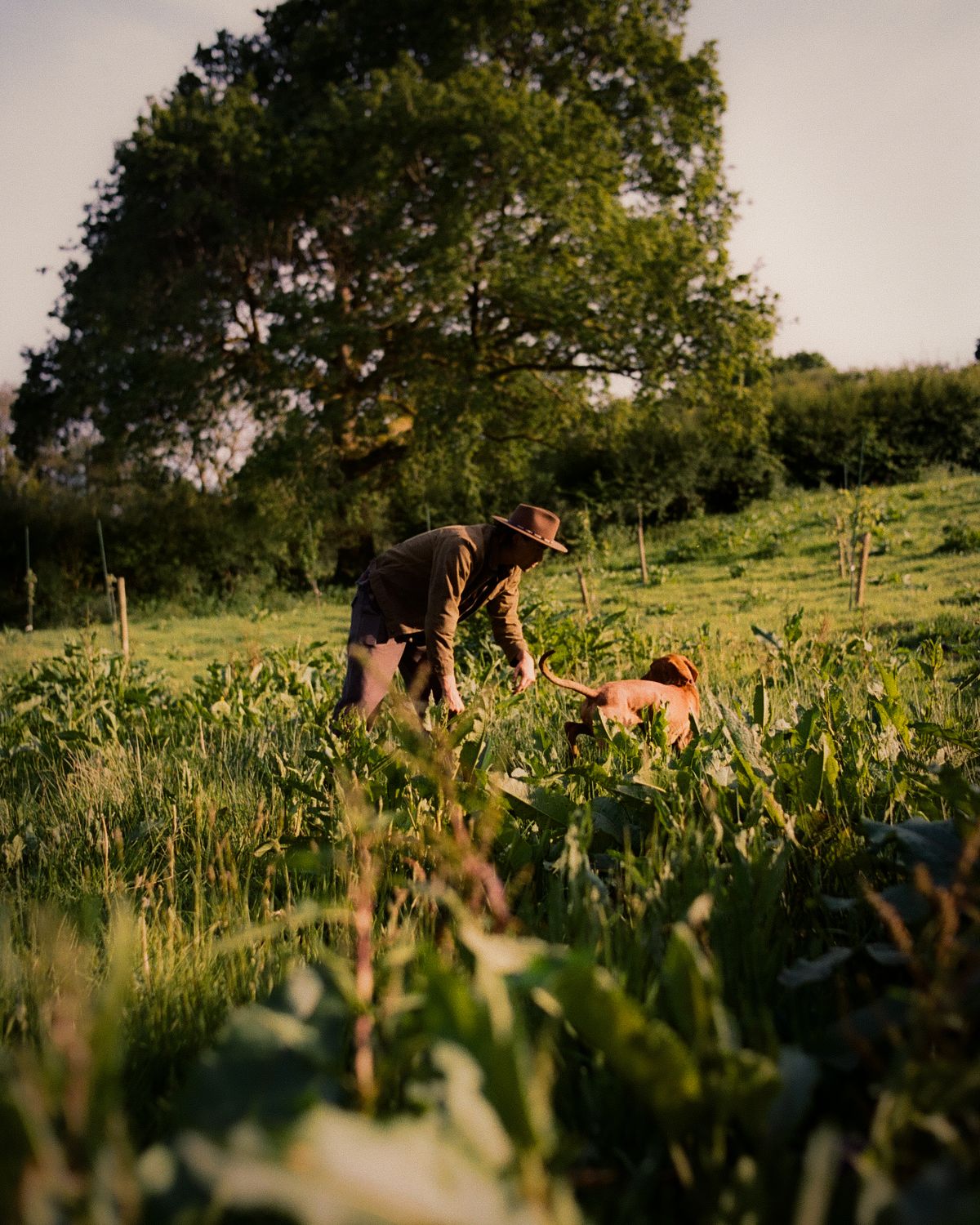 barbour-joya-berrow-director-photographer