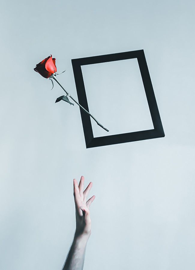photographie d'art conceptuel