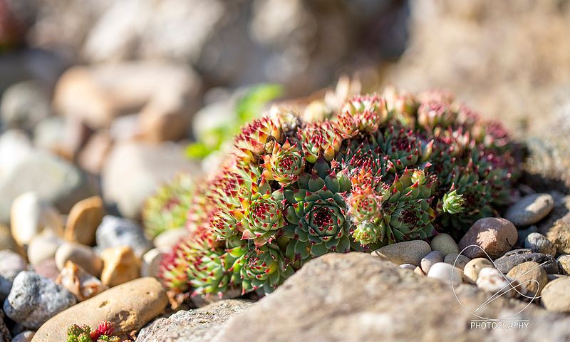 Onsdag er studioet stengt