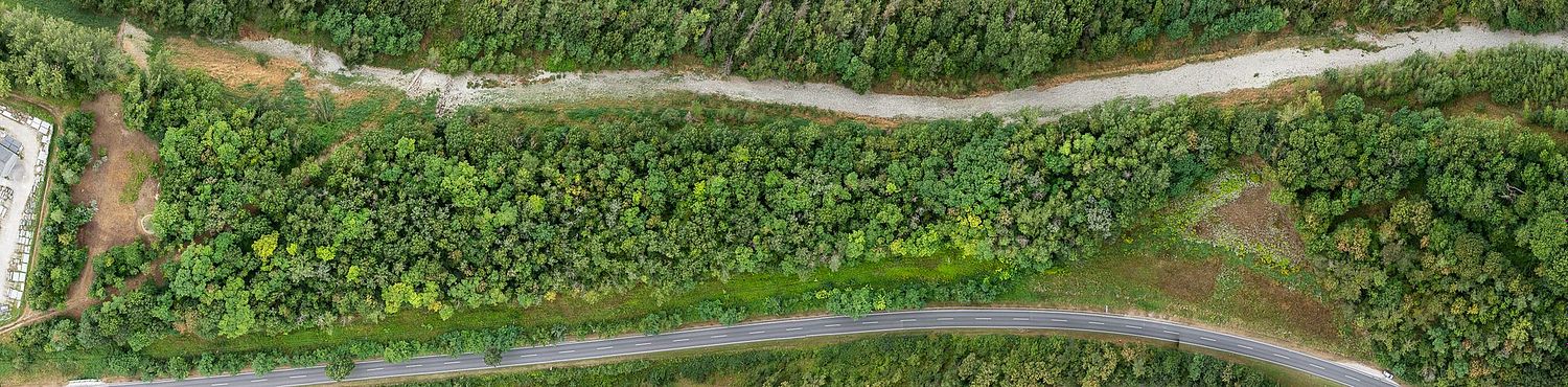 Dokumentation vor und nach durchgeführten Maßnahmen