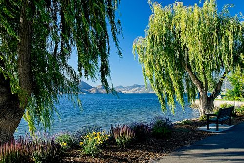 Elevate your space with beautiful photography artworks.