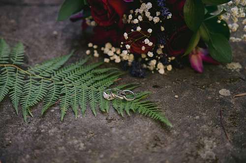 Sydney Elopement at Lennox Bridge, Blue Mountains