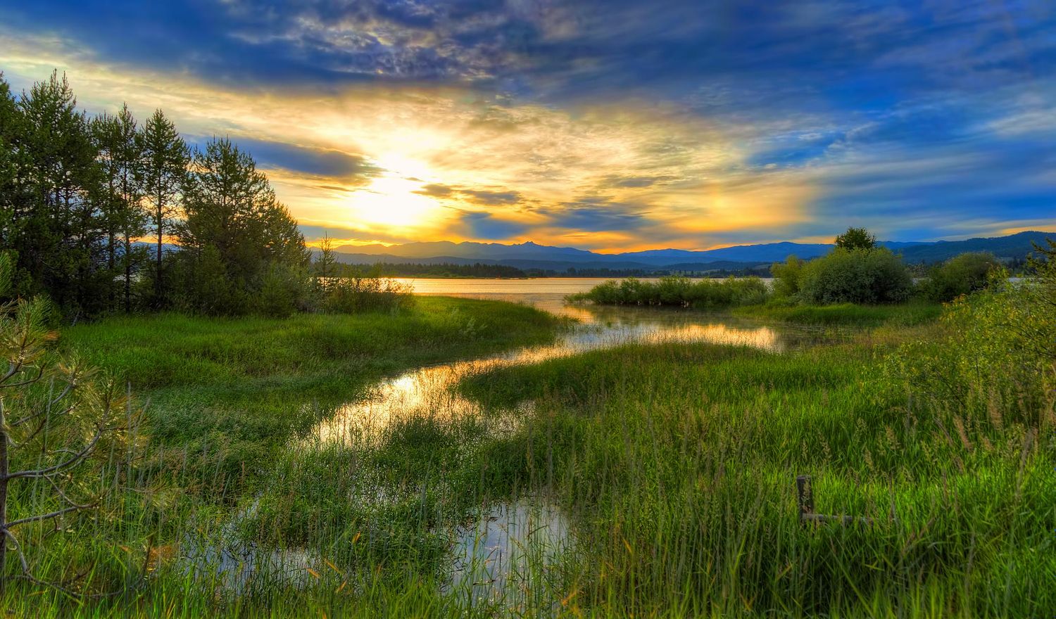 Mark Worthen Photography