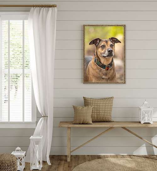 Investment Possibilities