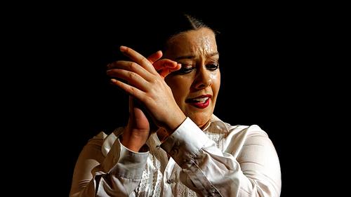 Danseuse de Flamenco en Andalousie
