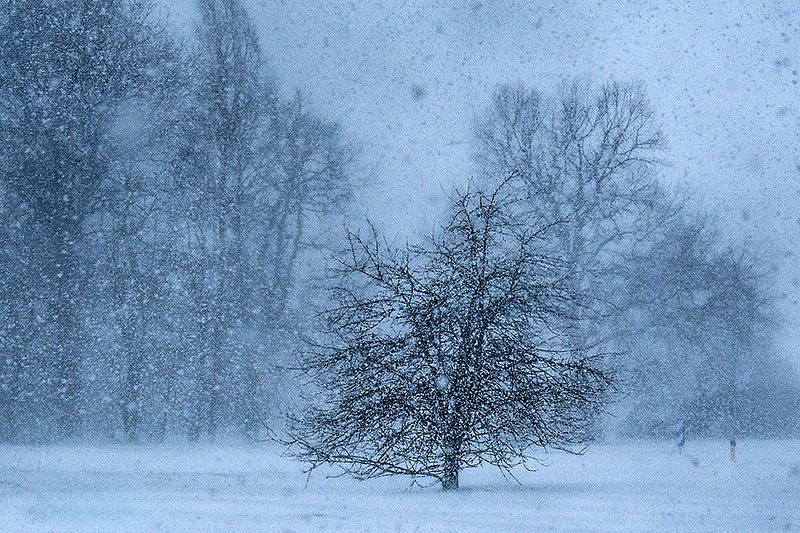 Kevadine aprill tõi ühe hetkega lume maha.