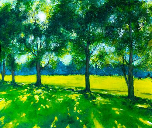 Summer sun through trees, flashes of light in shade