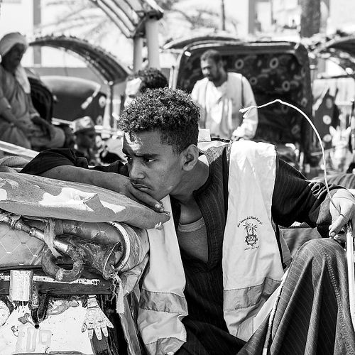 Portrait d'un conducteur de calèche au Caire en Egypte