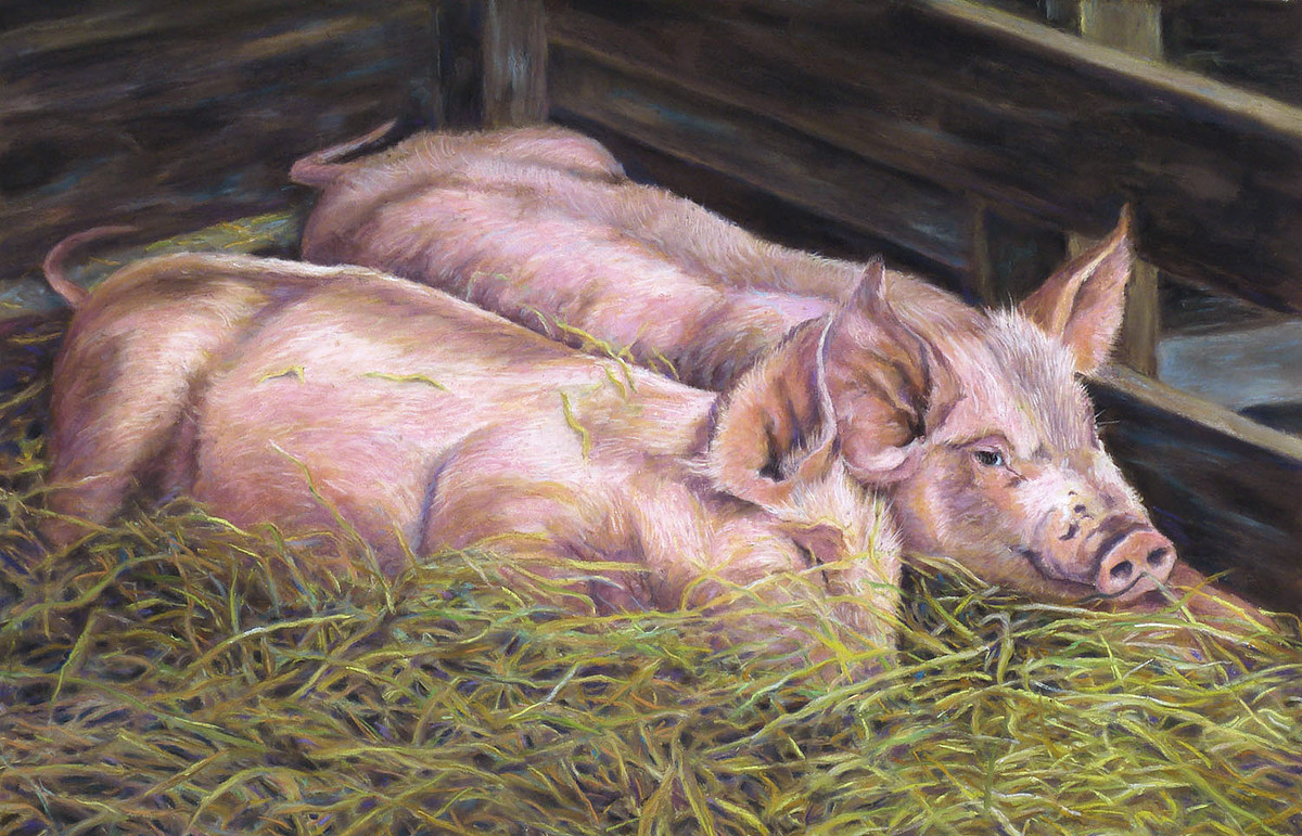 Brothers Two pigs lying side by side in hay. Pastel by Lesley Heathcote