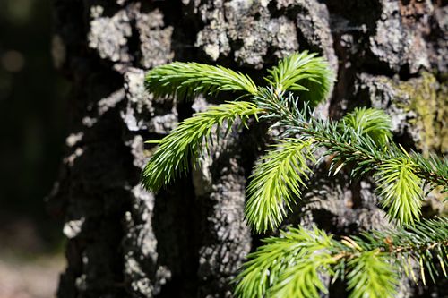 Im Nationalpark Jomfruland