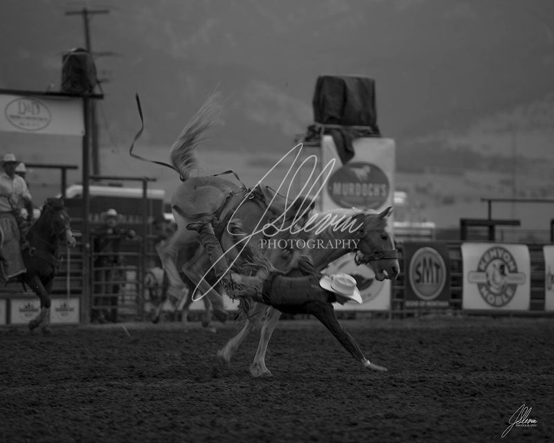 Lifestyle Photography