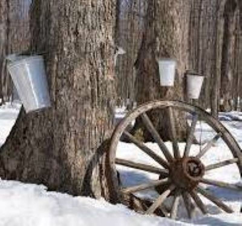 Sweet Signs of Spring