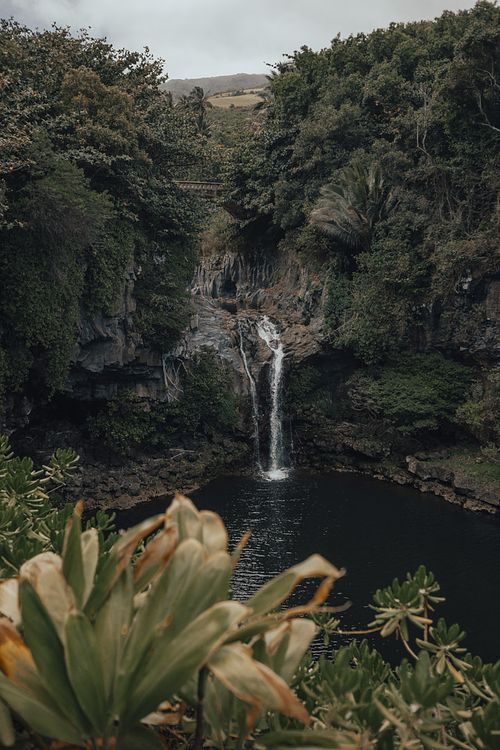 Canon Landscape Photography Savannah Travel Prints Hawaii MauiDetails