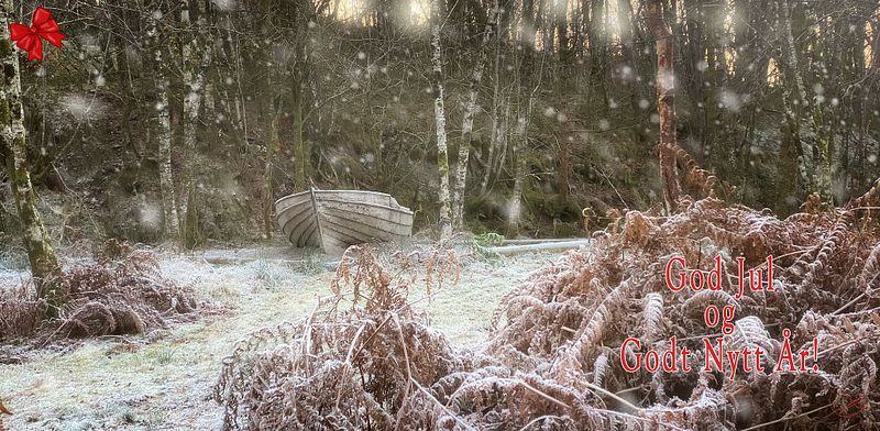 God jul og godt nytt år!