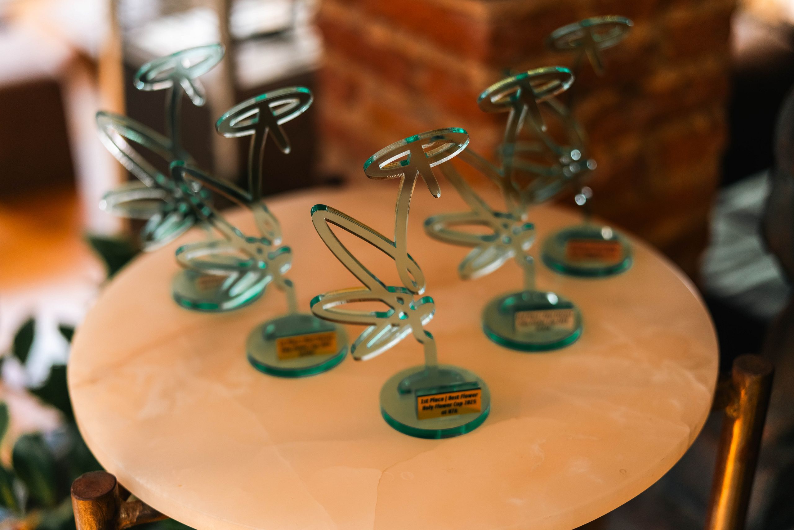 Holy Flower Cup 2025